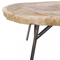 Table basse en bois pétrifié et piètement en métal - zoom - PETRIFIED