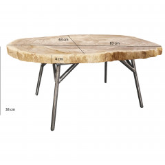 Table basse en bois pétrifié et piètement en métal - avec mesures - PETRIFIED