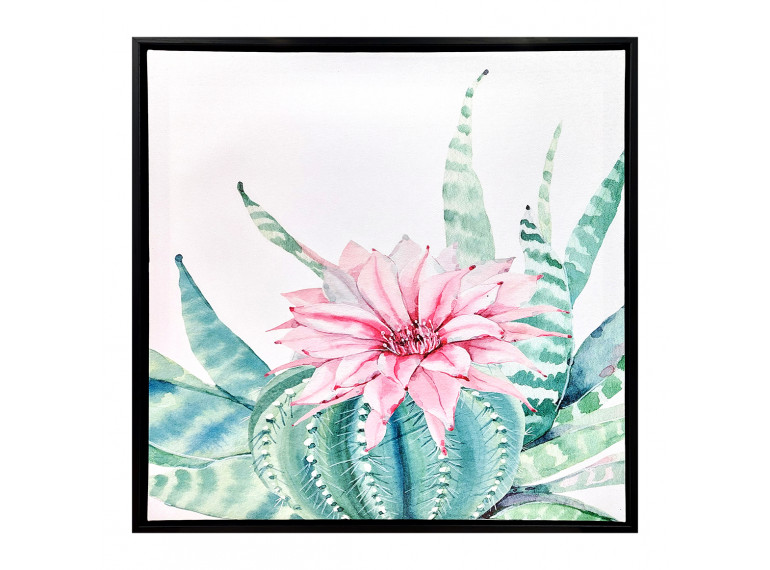 Tableau en toile imprimée fleur cactus rose avec cadre en bois noir 40x40cm - Vue de face -  BLOOM