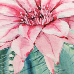 Tableau en toile imprimée fleur cactus rose avec cadre en bois noir 40x40cm - zoom - BLOOM