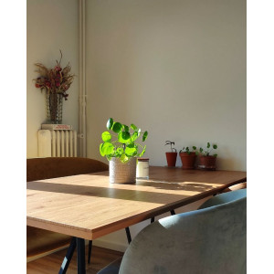 Table de repas en bois & métal L160cm - vue en ambiance - STRIPE